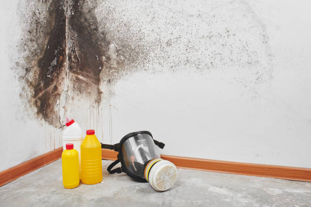 Best Residential Mold Remediation in Mcfarland, WI