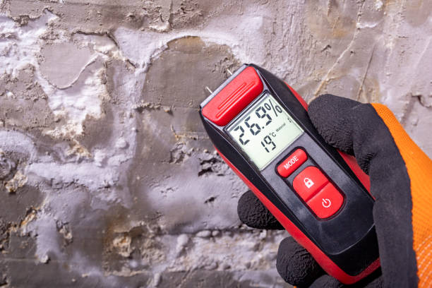 Best Basement Mold Remediation in Mcfarland, WI